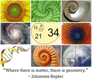 Kepler Geometry